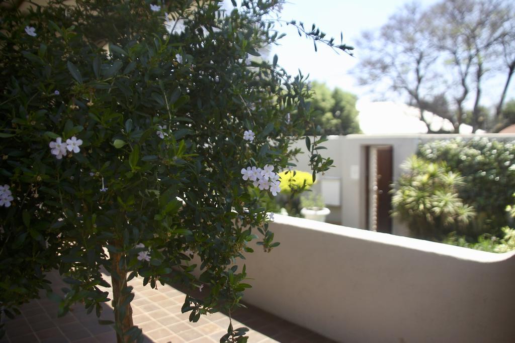 Melville Manor Guest House Johannesburg Luaran gambar